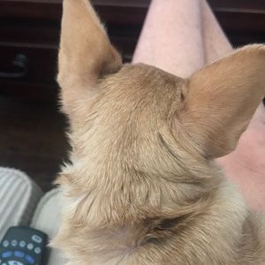 Meet your Posher, Tracy